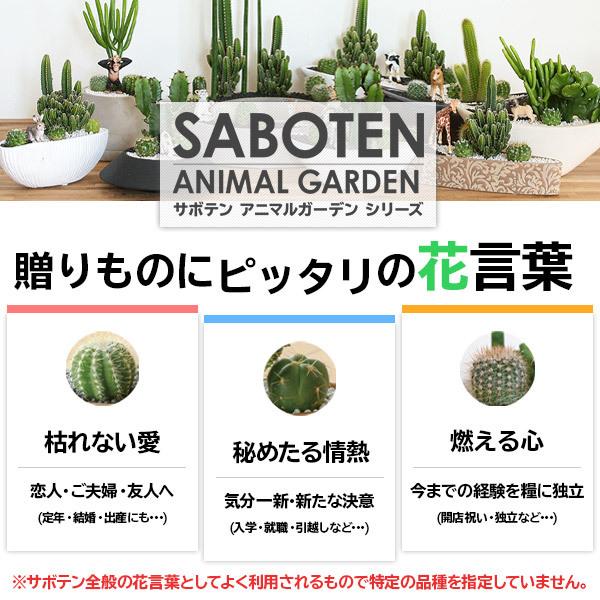 サボテン 寄せ植え トゲなし セレウス 流木タイプ 選べる動物