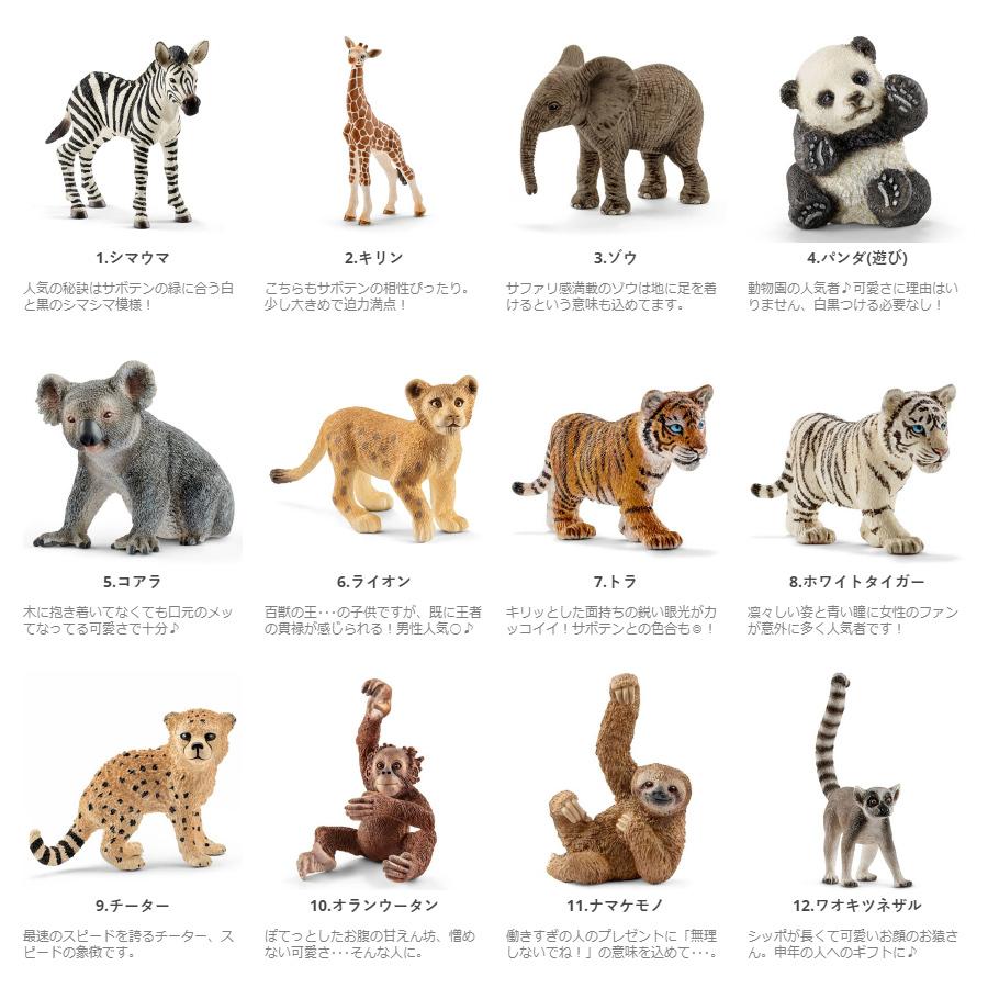 激安 観葉植物 サボテン 多肉植物 寄せ植え セレウス 舟形大タイプ 選べる動物フィギュア付 Wantannas Go Id