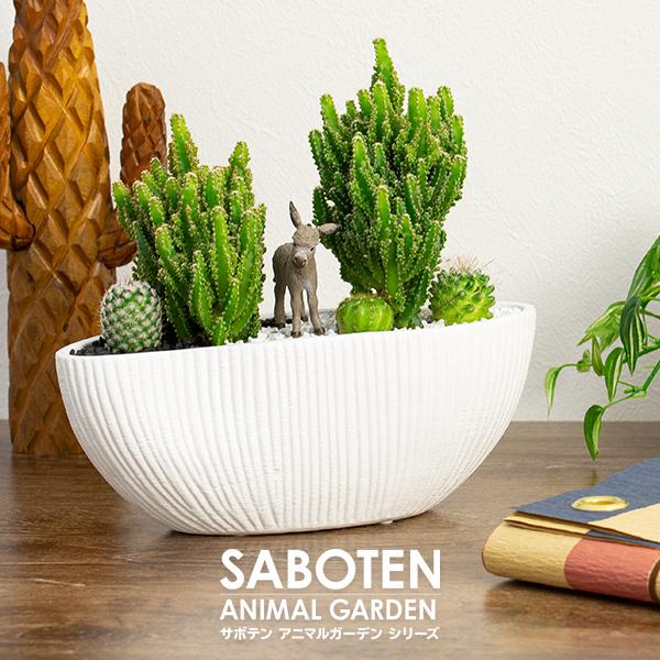 観葉植物 サボテン 多肉植物 寄せ植え セレウス 波形大タイプ 選べる動物フィギュア付 Dm Sa05fw 花とインテリア雑貨 Fleur Bazar 通販 Yahoo ショッピング