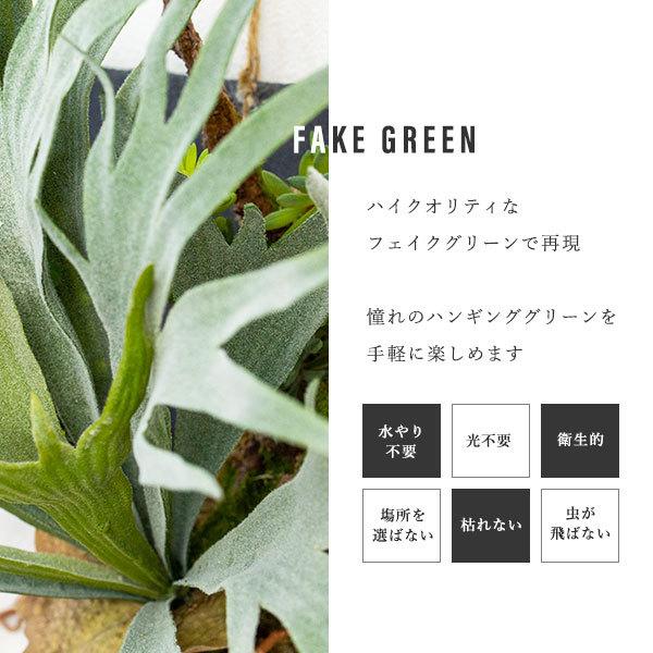 ビカクシダ コウモリラン ハンギング 壁掛け フェイクグリーン : 花と