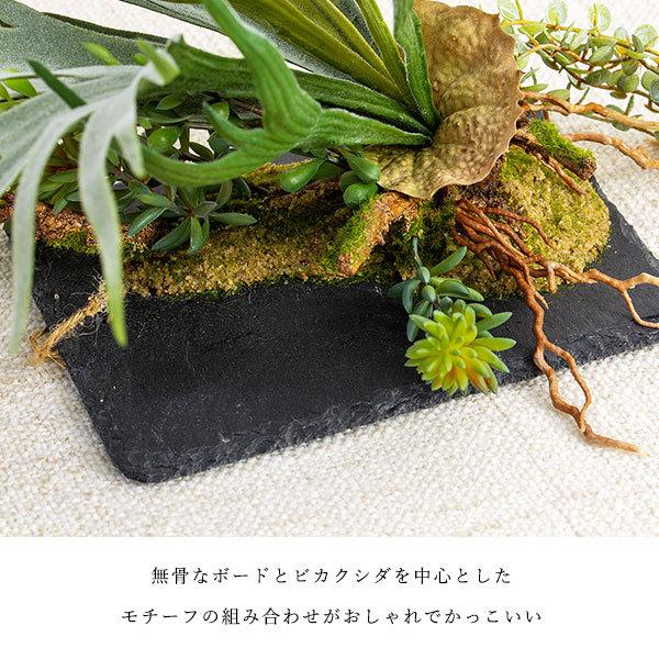 ビカクシダ コウモリラン ハンギング 壁掛け フェイクグリーン : 花と