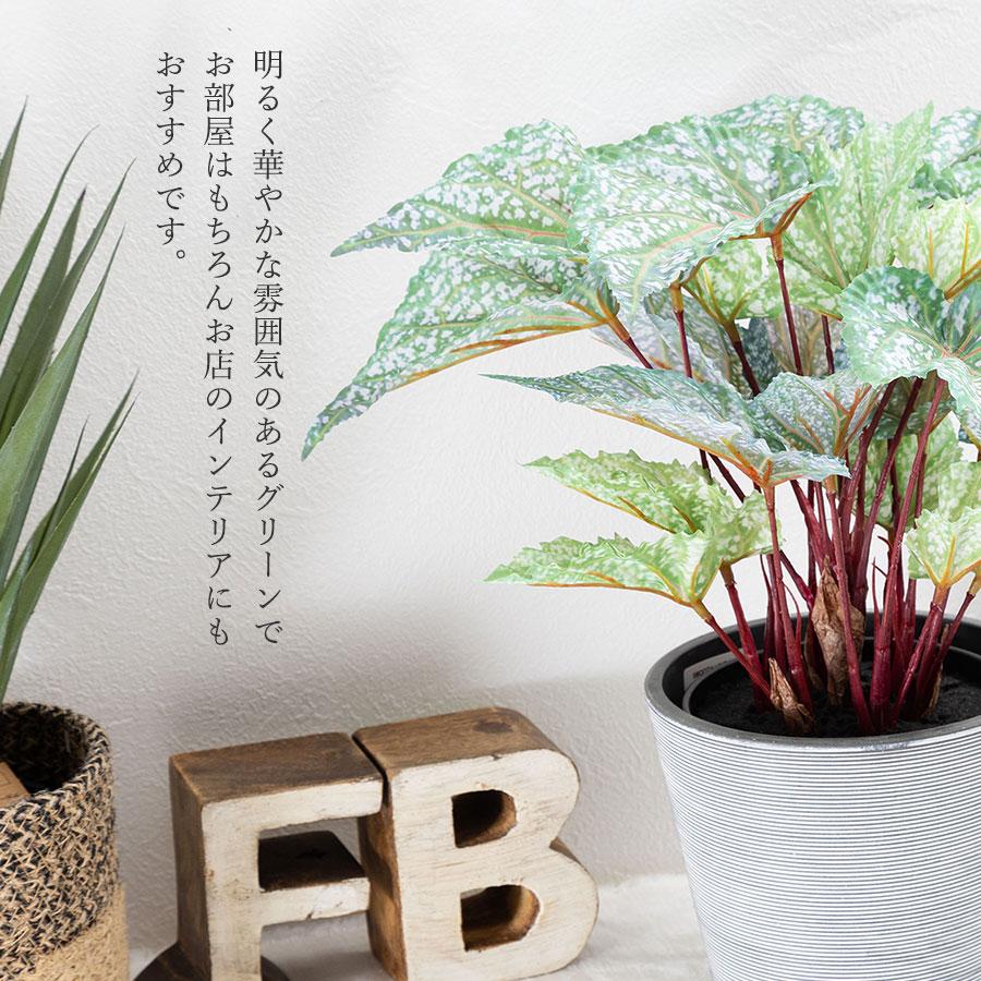 ベゴニア 5種類のカラーから選べます フェイクグリーン : 花と