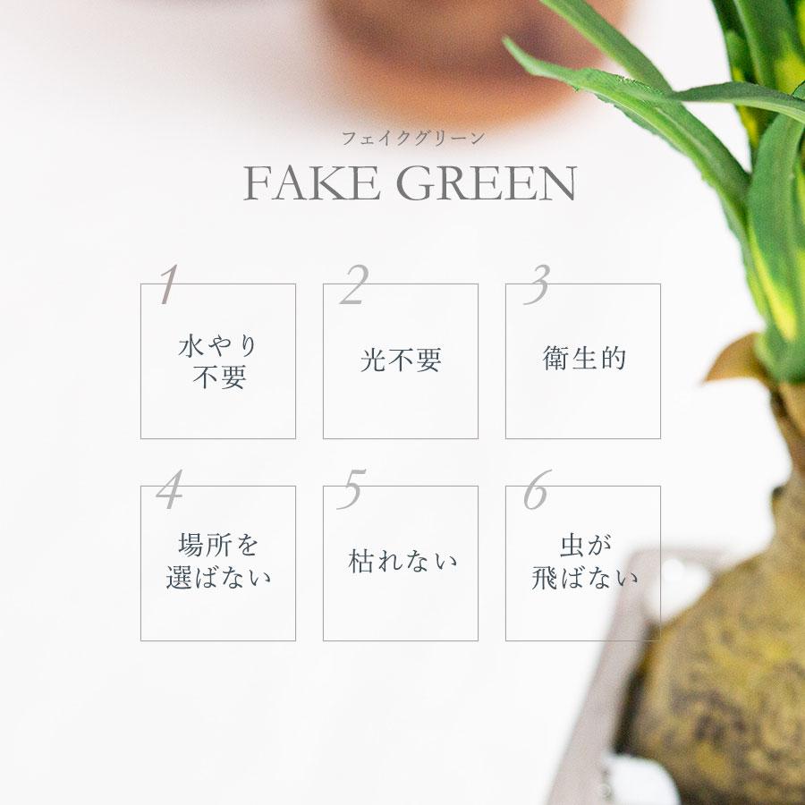 トックリラン ノリナ フェイクグリーン 造花 人工 観葉植物 インテリア 大型 ノリナ トックリラン フェイクグリーン : 花とインテリア雑貨 fleur