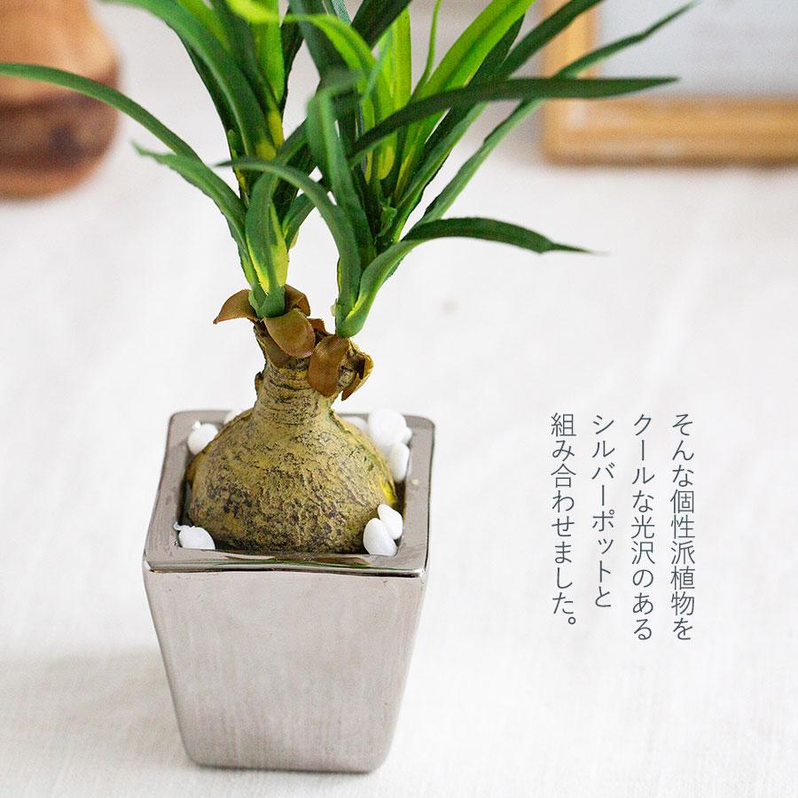 トックリラン ノリナ フェイクグリーン 造花 人工 観葉植物 インテリア 大型 ノリナ トックリラン フェイクグリーン : 花とインテリア雑貨 fleur