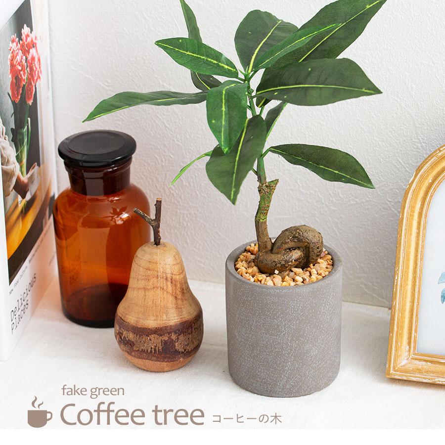 コーヒーの木 セメント風ポット フェイクグリーン : 花とインテリア