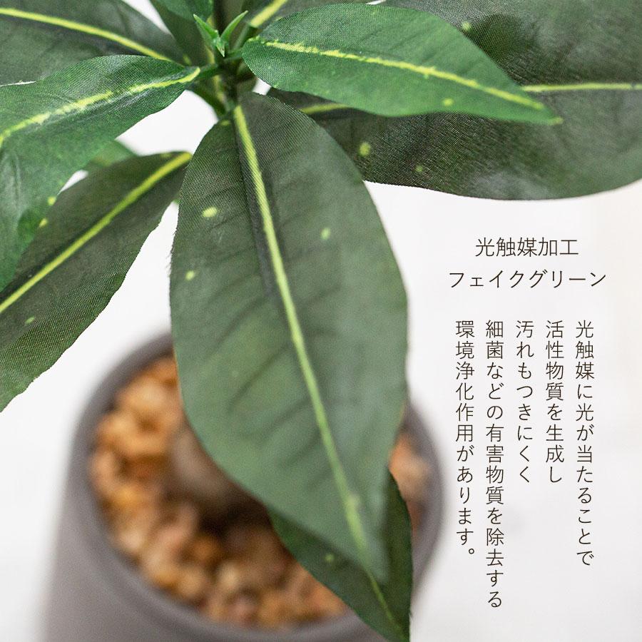コーヒーの木 セメント風ポット フェイクグリーン : 花とインテリア