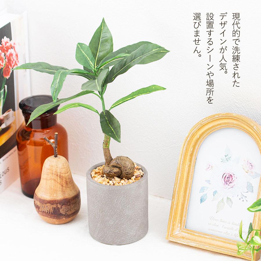 コーヒーの木 セメント風ポット フェイクグリーン : 花とインテリア