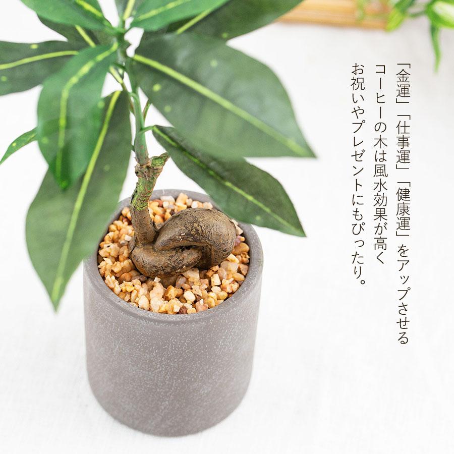 コーヒーの木 セメント風ポット フェイクグリーン : 花とインテリア