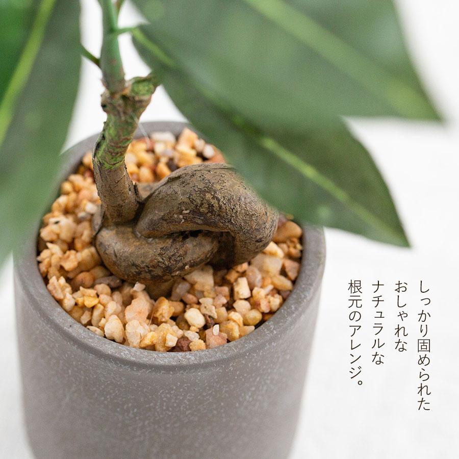 コーヒーの木 セメント風ポット フェイクグリーン : 花とインテリア