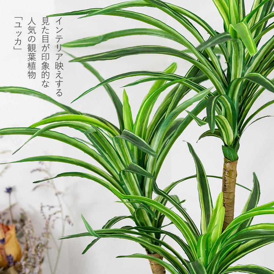 ユッカ セメントポット フェイクグリーン : 花とインテリア雑貨 fleur