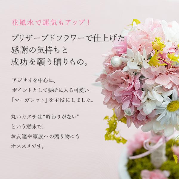 プリザーブドフラワー マーガレットがかわいいフラワー プリザーブドフラワー マーガレットがかわいいフラワー