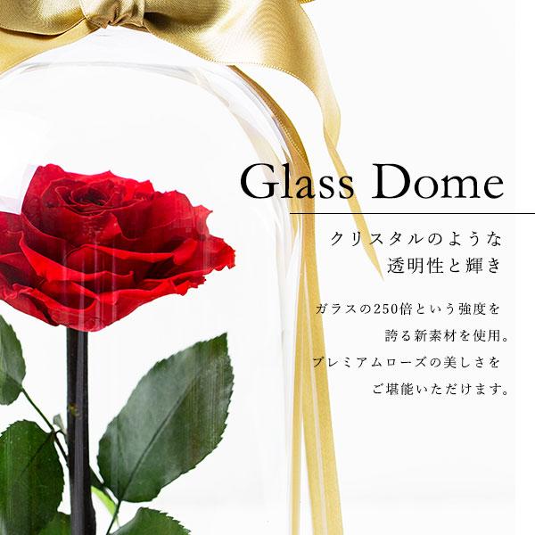 プリザーブドフラワー 運命を繋ぐ赤花 Destiny*Rose 花 ローズ