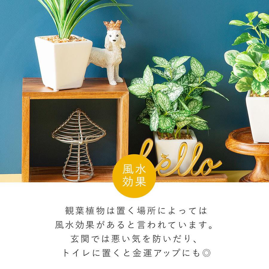 フェイク3点セット フェイクグリーン : 花とインテリア雑貨 fleur