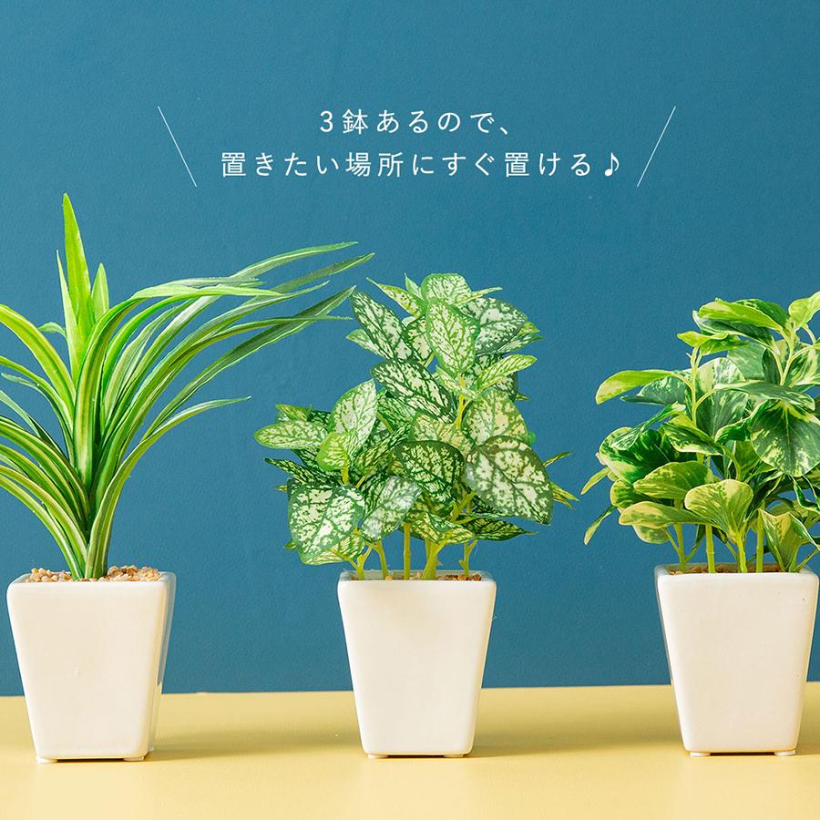 フェイクグリーン 3点セット 鉢植え フェイク3点セット フェイクグリーン : 花とインテリア雑貨 fleur
