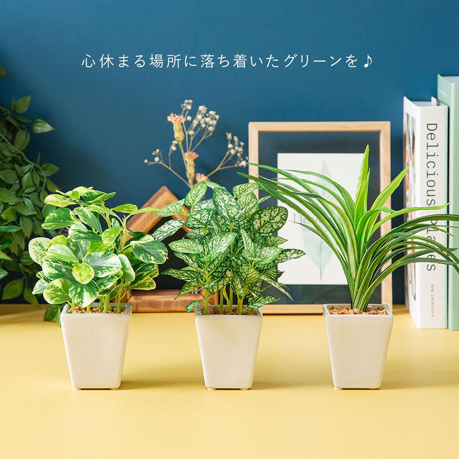 フェイクグリーン　オリーブ　三点セット フェイク3点セット フェイクグリーン : 花とインテリア雑貨 fleur