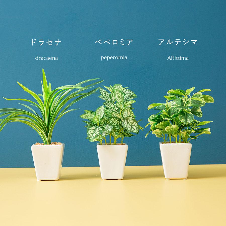 フェイク3点セット フェイクグリーン : 花とインテリア雑貨 fleur
