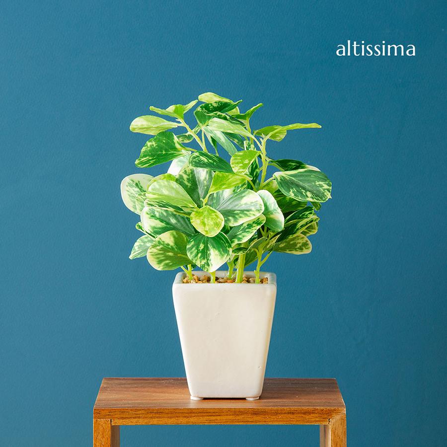 フェイク3点セット フェイクグリーン : 花とインテリア雑貨 fleur