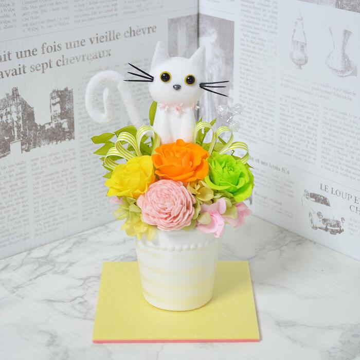 プリザーブドフラワーイエロー シロネコの春色アレンジメント