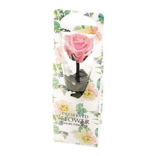 プリザーブドフラワー ローズ ギフト 女性 誕生日プレゼント お礼 お返し お祝い 176 407 フルール ド カメリア Yahoo 店 通販 Yahoo ショッピング