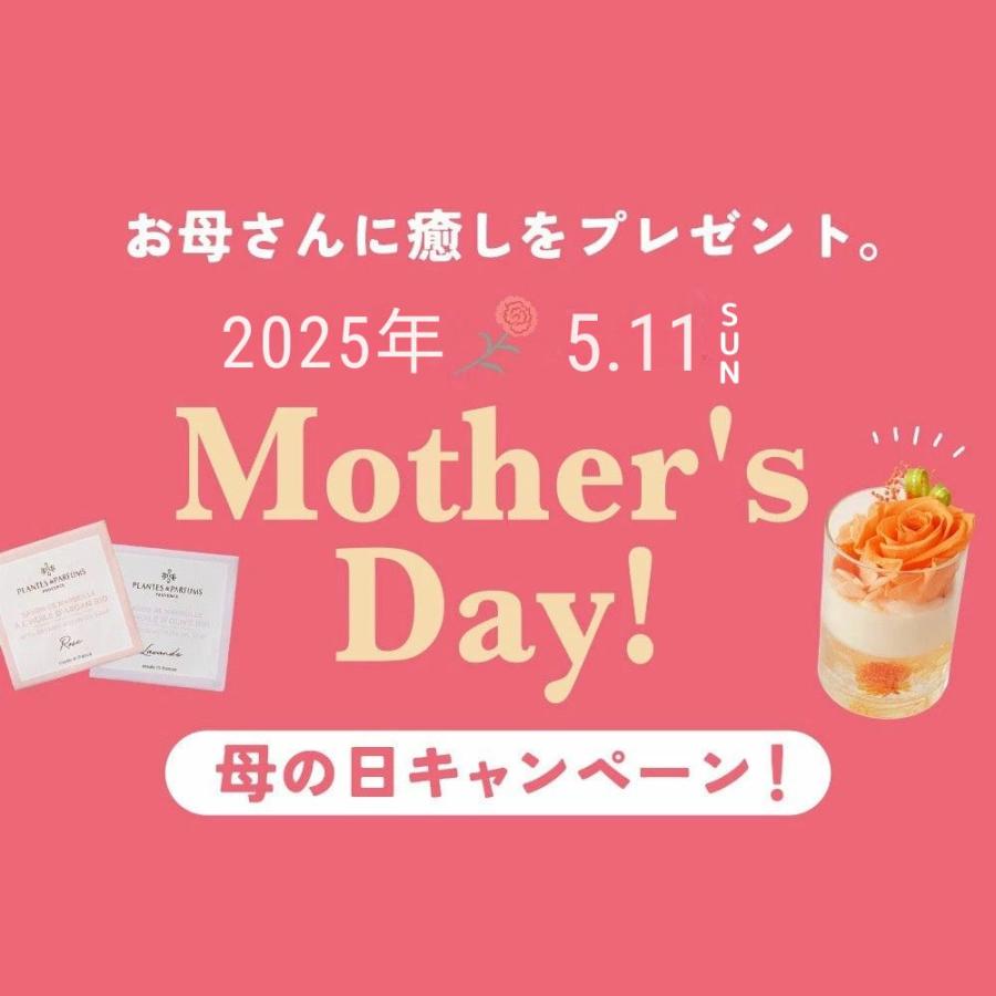 遅れてごめんね 母の日 プリザーブドフラワー ハーブティー セット プレゼント お祝い 誕生日 花 ハーブティーセット ギフトセット |  | 03