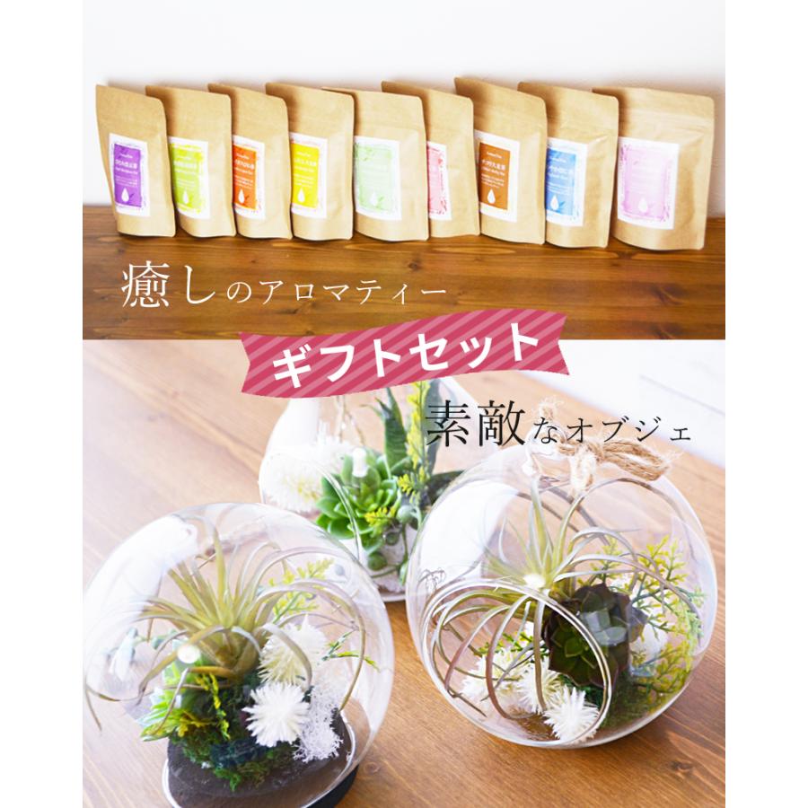 父の日 ギフト 2022 プレゼント 花 アロマティーとテラリウムの選べるギフトセット メッセージカード付 贈り物 |  | 02
