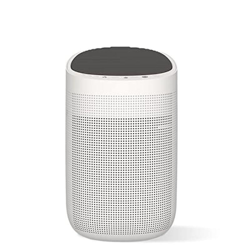 気質アップ 除湿機 空気清浄機 1台2役 Hepa 適用面積10畳 消臭 花粉 Pm2 5 静音 省エネ 衣類乾 カビ防止 梅雨対策 強力除湿 部屋干し 除湿機 Www Reinnec Cl