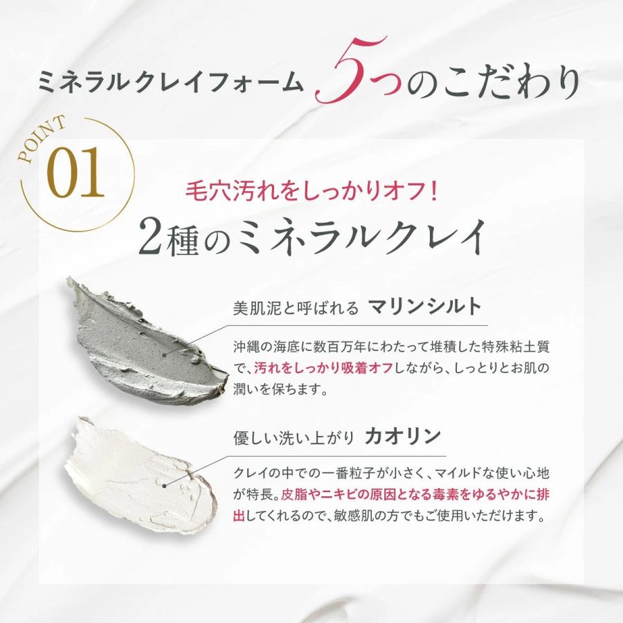 Fleuri（フルリ） 公式 ミネラルクレイフォーム 100g (1本) 洗顔 洗顔