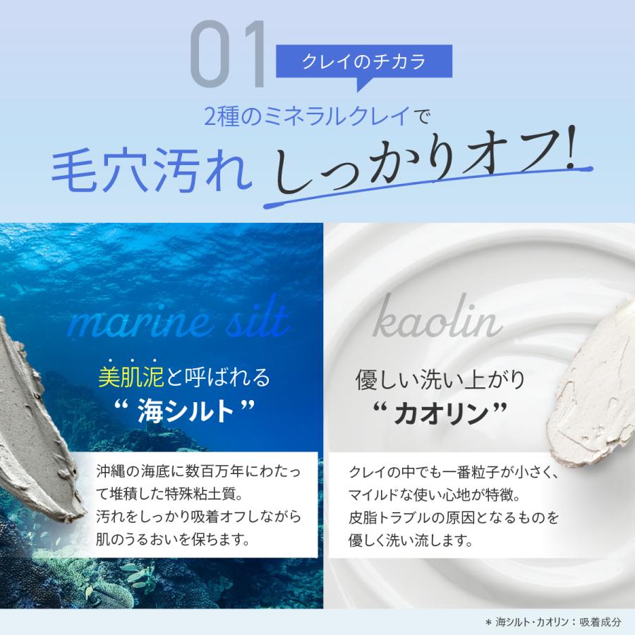 Fleuri（フルリ） 公式 ミネラルクレイフォーム 100g (3本) 洗顔 洗顔