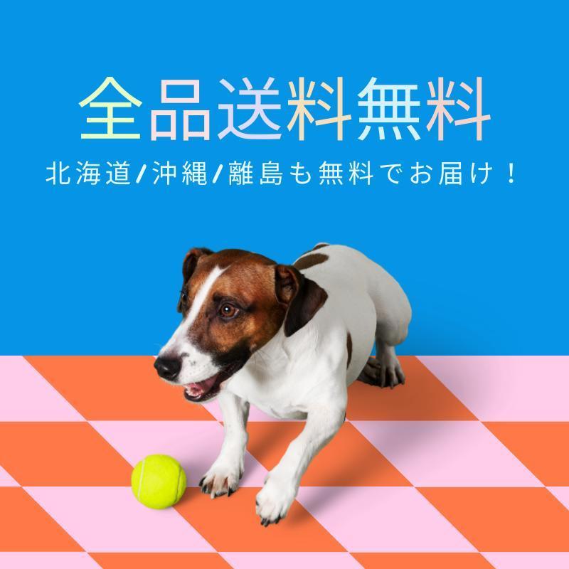 flexi（フレキシ） フレキシリード 8m 伸縮 リード 大型犬 8m