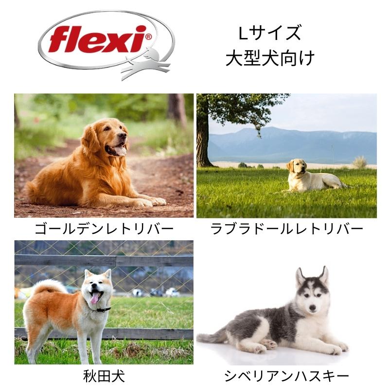 フレキシリード 8m 伸縮 リード 大型犬 8m ジャイアント テープ ロングリード | flexi リード 犬 リード 伸縮 8m 伸びるリード 巻き取り 犬リード 犬のリード｜flexi-lead｜06