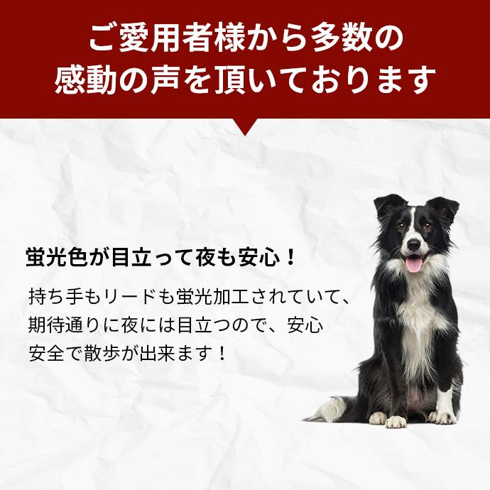 flexi（フレキシ） フレキシリード 8m 伸縮 リード 大型犬 8m