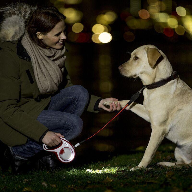 犬 散歩 ライト フレキシ ライト USB充電または乾電池を選択 [リード本体別売]| 犬 ライト 散歩 リード 犬のリード ライト 犬 led ペット 犬 リード ライト