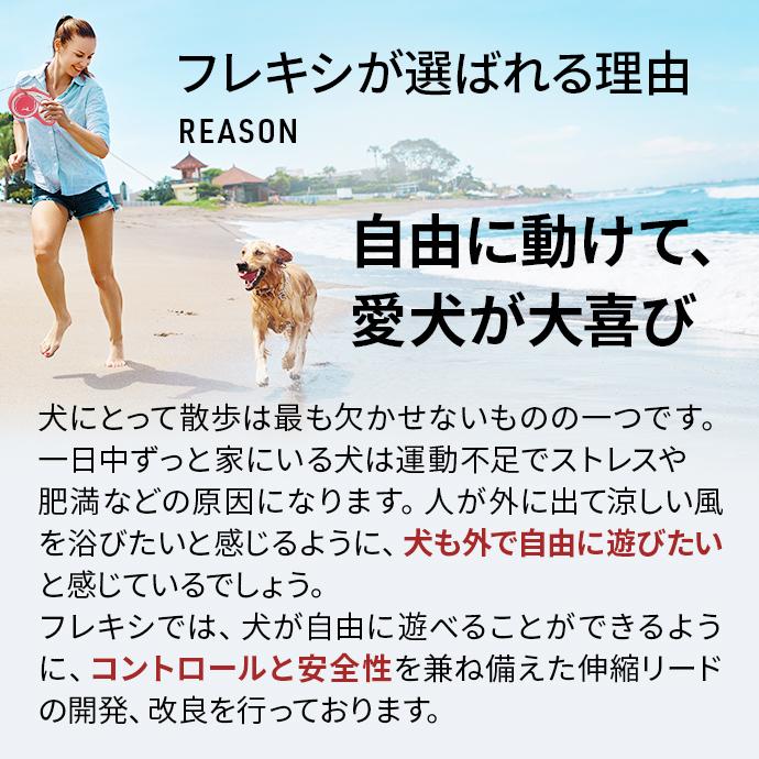 【在庫限り】フレキシリード 8m 中型犬 伸縮リード 8m ロングリード ニューコンフォート コード | flexi リード 犬 リード 伸縮 8m 伸びるリード 犬リード 長い｜flexi-lead｜17