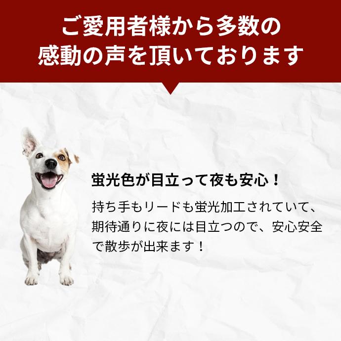 flexi（フレキシ） フレキシリード 伸縮リード 中型犬 ネオン テープ