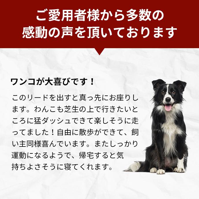 フレキシリード 5m 小型犬 s 伸縮リード 5m ニュー ネオン テープ コード | flexi リード 犬 リード 伸縮 伸びるリード 巻き取り 犬リード 犬のリード | flexi | 16