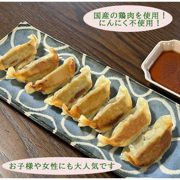 小松菜餃子　EN WATER FARMS　水耕栽培　鹿児島県産小松菜　ギョーザ　国産　鶏肉　にんにく不使用　ヘルシー　冷凍　生餃子　3パックセット　36個 |  | 03