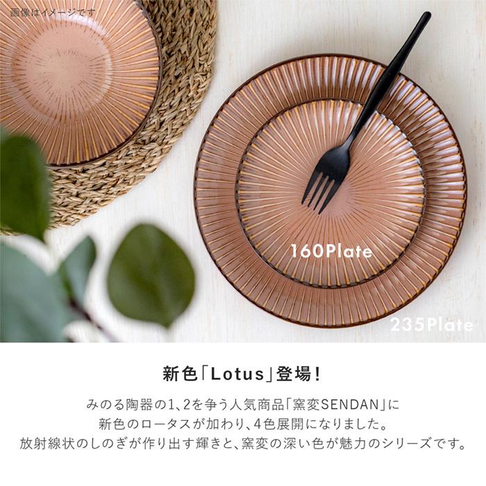 美濃焼 窯変SENDAN 210プレート 和食器 洋食器 皿 日本製 テーブル