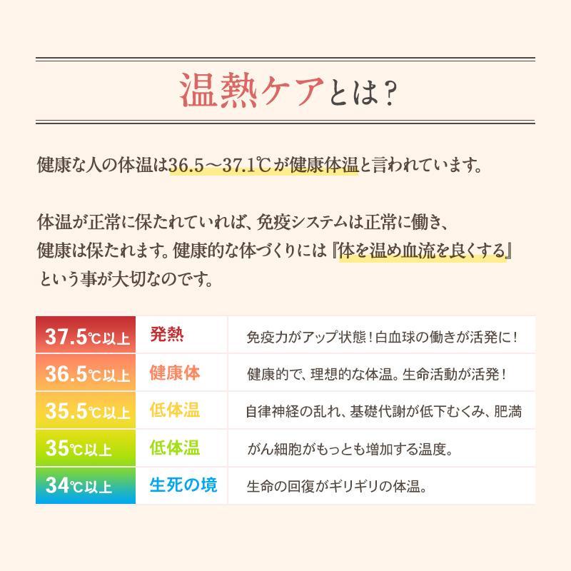 温熱器 琉球温熱治療器（OCN型）ミネラル鉱石ラジウムを施術面に使用 マイナスイオン 遠赤外線 管理医療機器 |  | 11