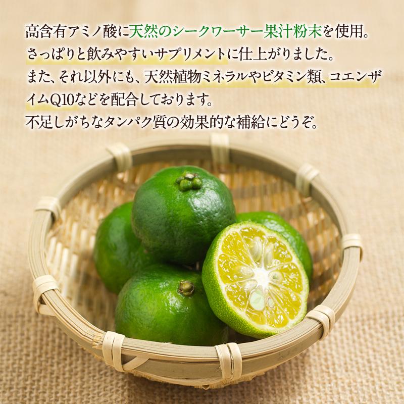 サプリメント アミノ酸プロアミノ : Flieder and 琉球温熱 - 通販