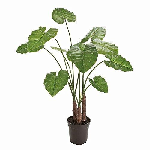 逆輸入 東京堂 造花 Fg Zzz 鉢f19 H18 W70 H100 グリーン クワズイモ Magiq その他キッチン 台所用品 Michiganestateplanning Com