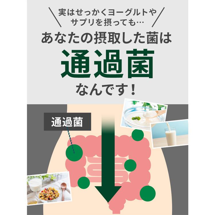 FLORA 善玉元気 約1年分 乳酸菌発酵エキス 短鎖脂肪酸 乳酸菌 サプリ