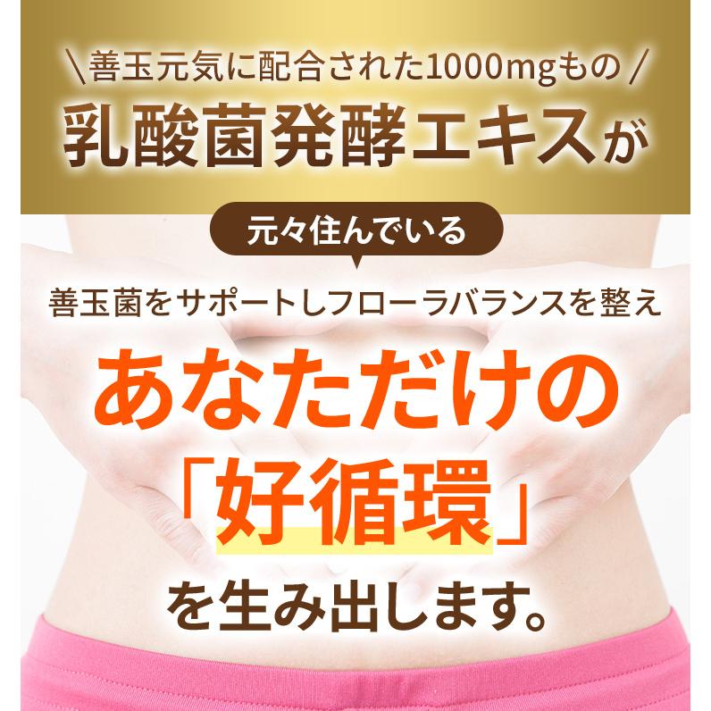 FLORA 善玉元気 約1年分 乳酸菌発酵エキス 短鎖脂肪酸 乳酸菌 サプリ