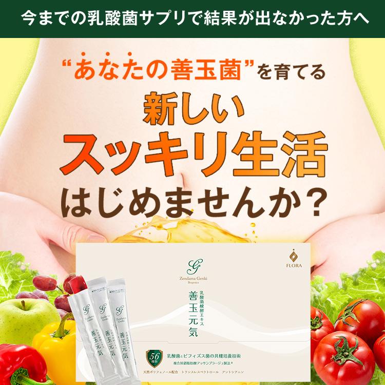 FLORA 善玉元気 約3ヶ月分 乳酸菌発酵エキス 短鎖脂肪酸 乳酸菌 サプリ