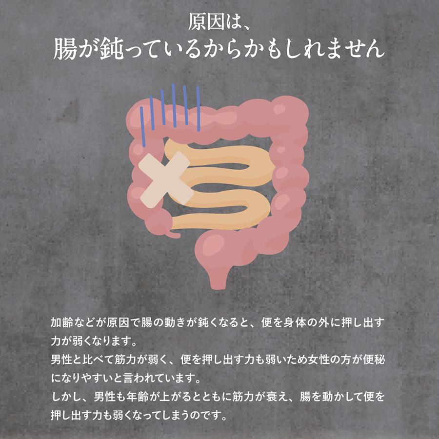 プレジア 12点セット 便秘 解消 サプリ 機能性表示食品 便通改善 宿便 腸活 お通じ 出す方法 サプリメント 弛緩性便秘 腸内環境 ...