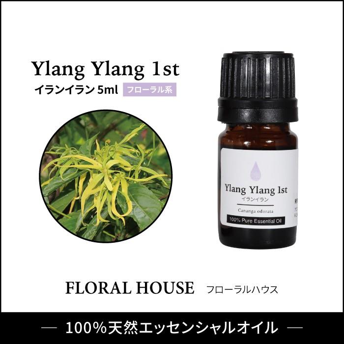最初の アロマオイル イランイラン 精油 エッセンシャルオイル 5ml Ylang Rmladv Com Br