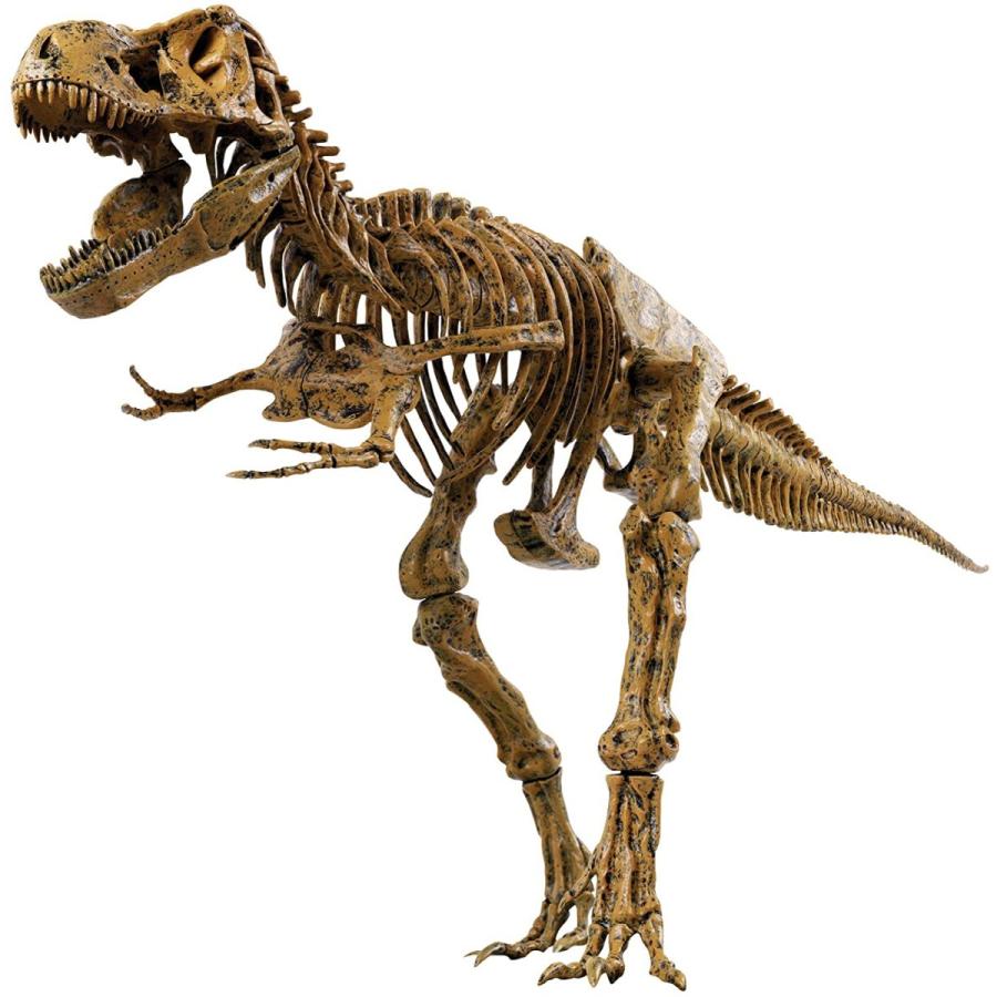 流行 エデュトイ EDU-TOYS 恐竜工作 VT026 ティラノサウルス 51ピース キット その他おもちゃ