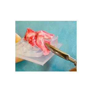 ステンレスモデラ |  | 01