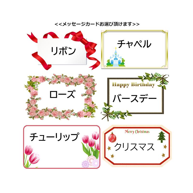 COSTA NOVA（コスタノバ） 結婚祝い 食器セット 4枚セット パール