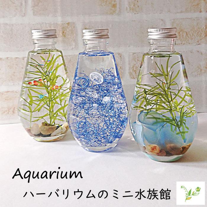 父の日 プレゼント 22 花 インテリア オブジェ アクアリウム 熱帯魚 クラゲ クリオネ 誕生日 御中元 ハーバリウム 観賞魚 ギフト おしゃれ 雑貨 Aquarium フラワーショップ スマイルyoshiko 通販 Yahoo ショッピング