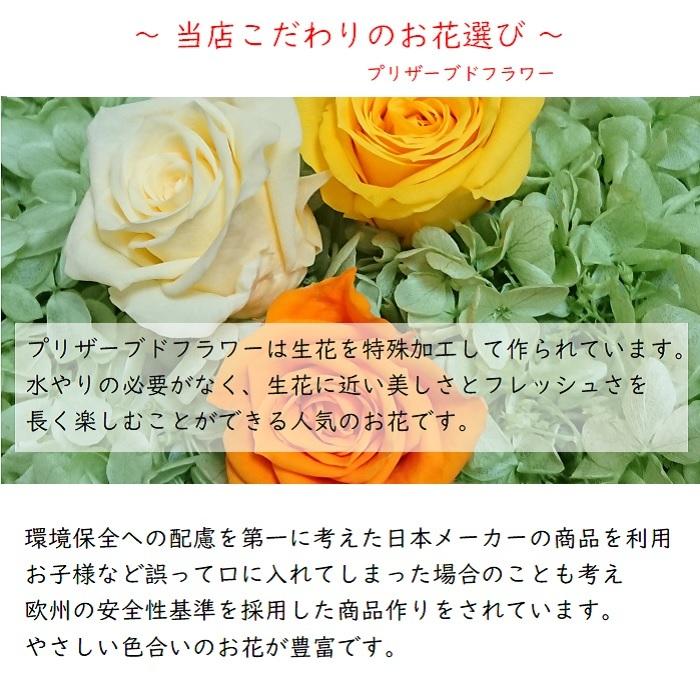 完売 クリスマス リース 飾り 手作り プリザーブドフラワー 壁掛け フラワー 花 小さい ギフト プレゼント インテリア 枯れない花 グリーン 一人暮らし Christmas Wreath 013 フラワーショップ スマイルyoshiko 通販 Yahoo ショッピング